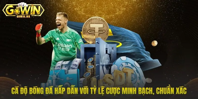 Cá độ bóng đá hấp dẫn với tỷ lệ cược minh bạch, chuẩn xác