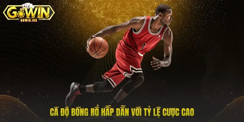 Cá độ bóng rổ hấp dẫn với tỷ lệ cược cao