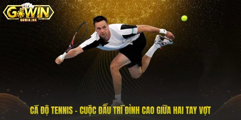Cá độ tennis - cuộc đấu trí đỉnh cao giữa hai tay vợt