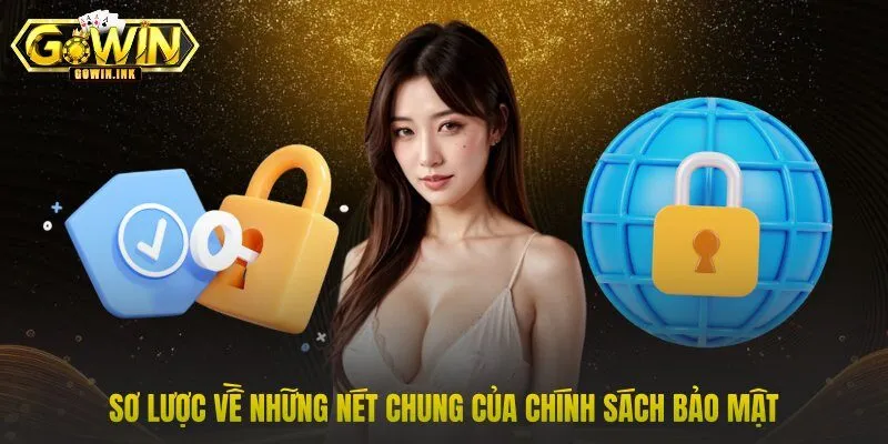 Sơ lược về những nét chung của chính sách bảo mật